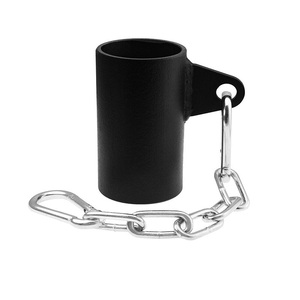 T-bar Row Platform Eyelet Landmine Attachment