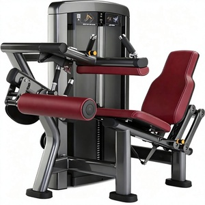 Multi Function Steel Gym Seated Leg Extension Curl Machine