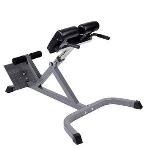 Commercial Roman Chair and Heavy Duty Arm Curl Bench